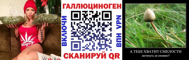 Купить где  Александровское  Галлюциногенные грибы мухоморы 
